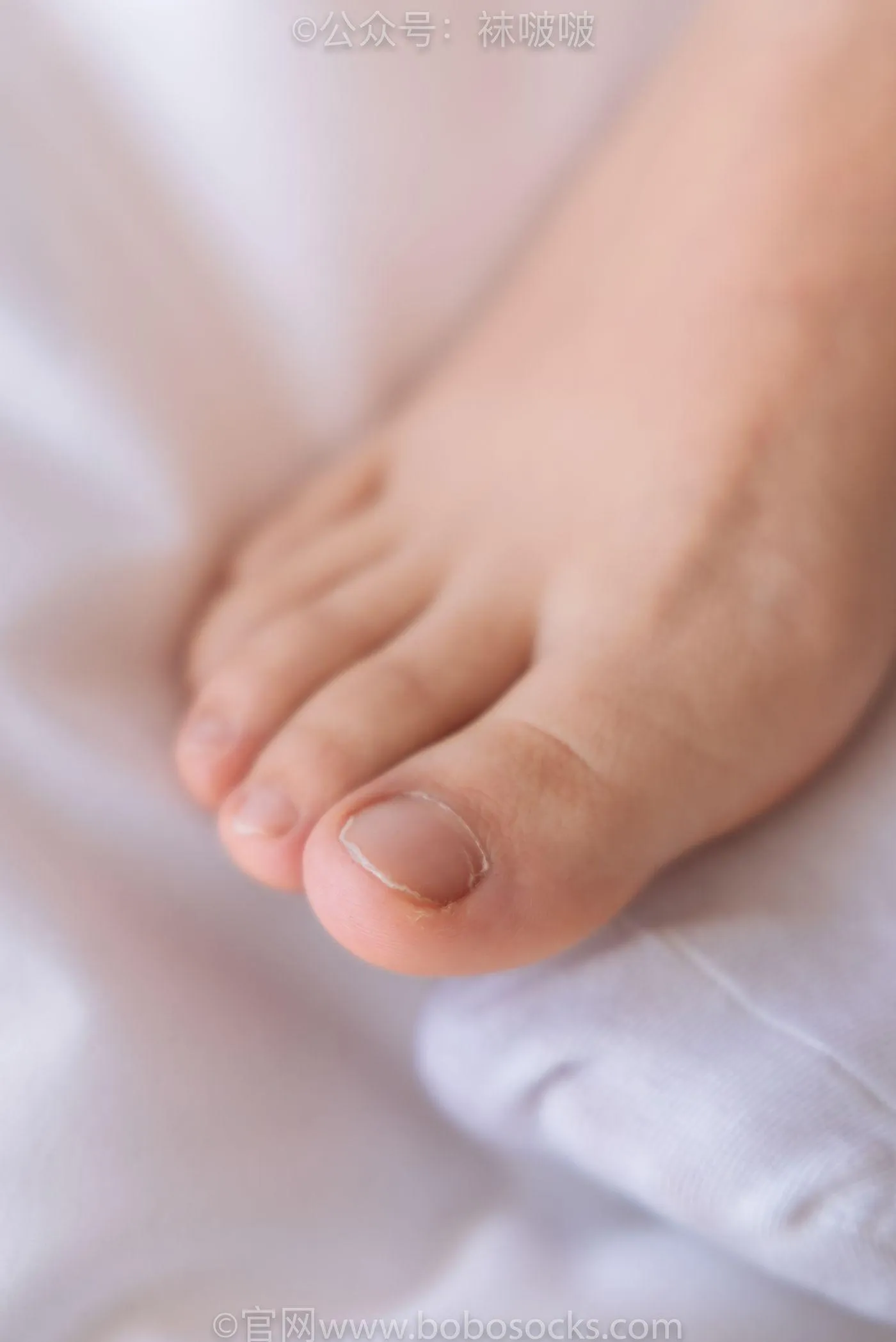 [BoBoSocks袜啵啵]NO.059 砂糖-AJ板鞋、白棉袜、裸足 [142P]插图2
